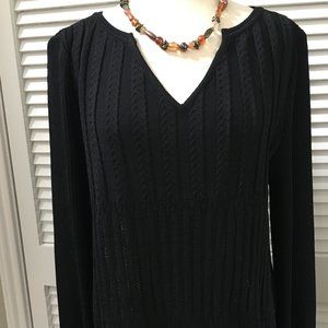 Beautiful St. John Collection/Marie Gray Women's Black V Neck Sweater, Size 12